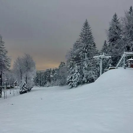Bellevue