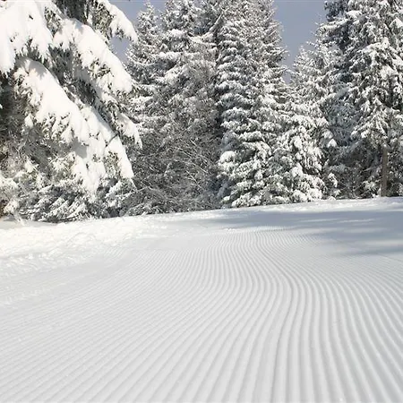 Hotel Bellevue Hočko Pohorje