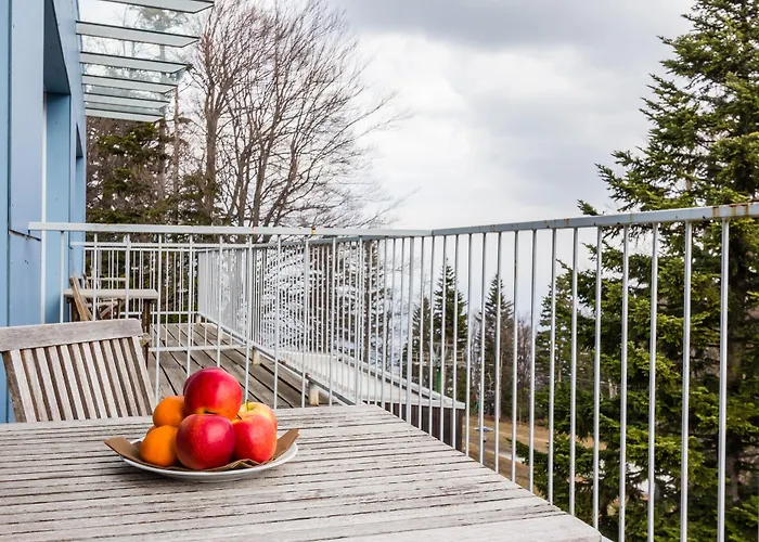 Bellevue Hocko Pohorje