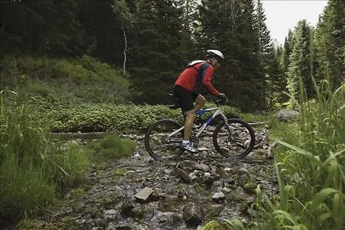 Bellevue Hocko Pohorje